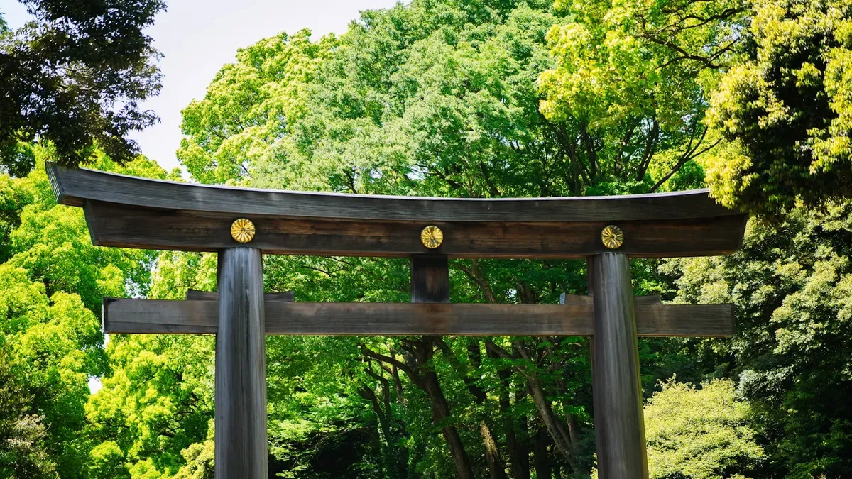 家族写真に映える色を考えるイメージ